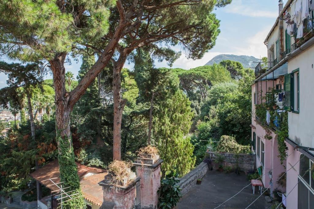 Casa Panoramica Διαμέρισμα Castellammare di Stabia Εξωτερικό φωτογραφία